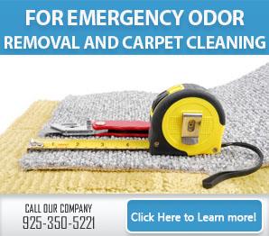Carpet Stain Removal - Carpet Cleaning Pleasanton, CA