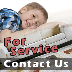 Contact Carpet Cleaning Services