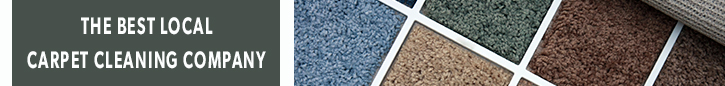 Our Infographic | Carpet Cleaning Pleasanton, CA