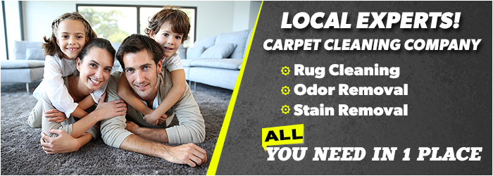 Carpet Cleaning Services